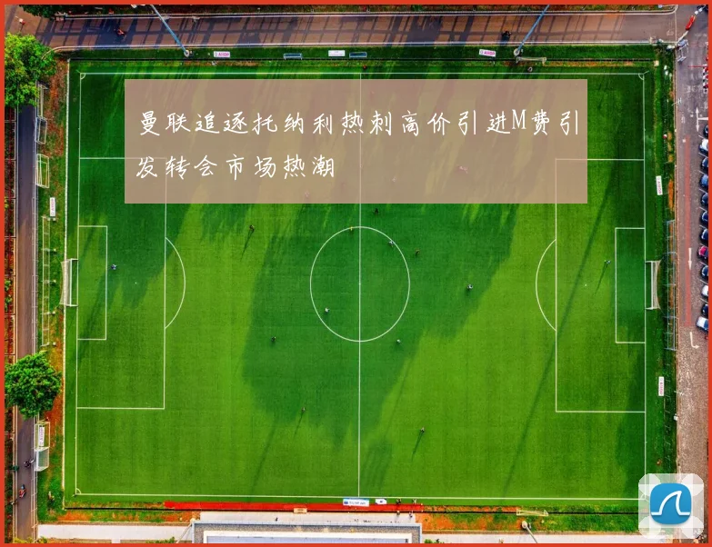 曼联追逐托纳利热刺高价引进M费引发转会市场热潮
